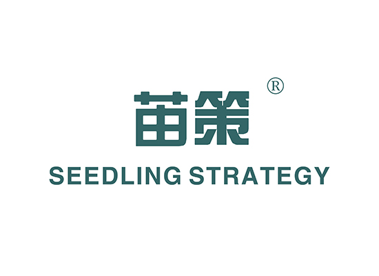 苖策 SEEDLING STRATEGY