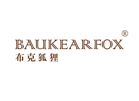 布克狐狸 BAUKEARFOX