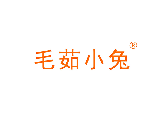 毛茹小兔