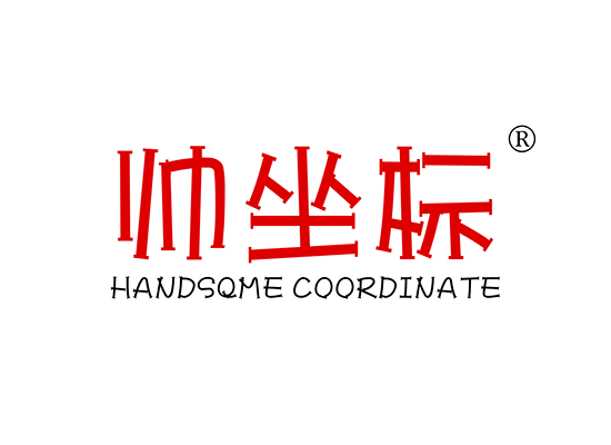 帅坐标 HANDSOME COORDINATE