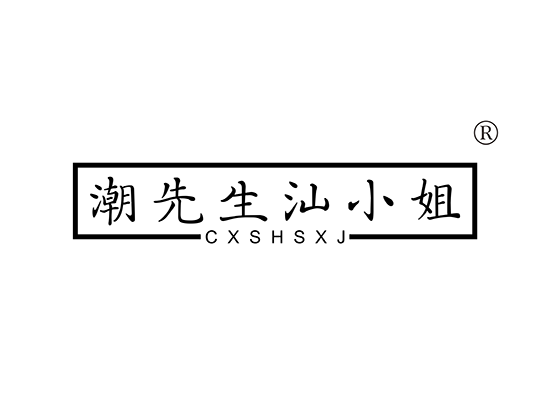 潮先生汕小姐 CXSSXJ