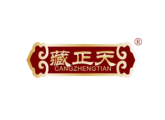 藏正天;CANGZHENGTIAN