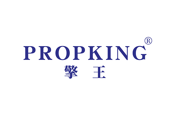 擎王 PROP KING