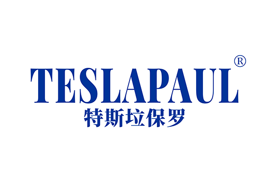 特斯垃保罗 TESLAPAUL