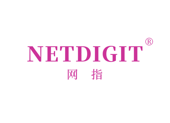 网指 NETDIGIT