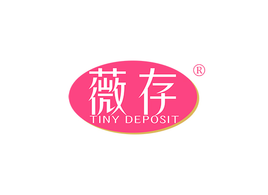 薇存 TINY DEPOSIT