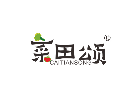 菜田颂;CAITIANSONG