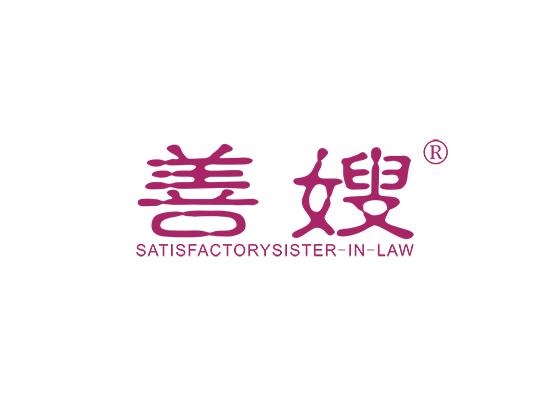 善嫂 SATISFACTORYSISTER-IN-LAW;SATISFACTORYSISTER IN LAW