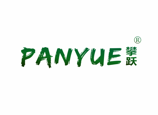 攀跃;PANYUE