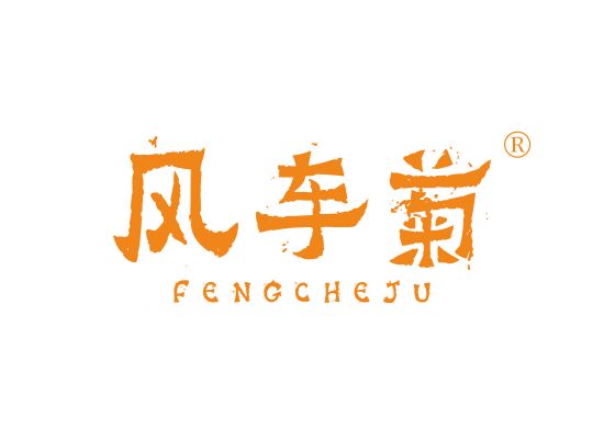 风车菊;FENGCHEJU