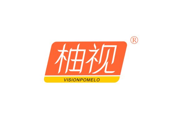 柚视 VISIONPOMELO