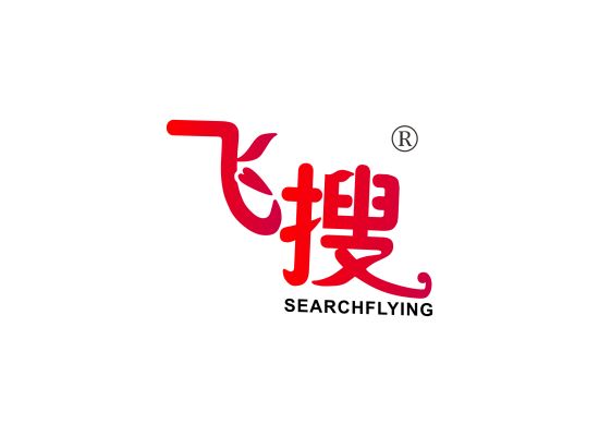 飞搜 SEARCHFLYING