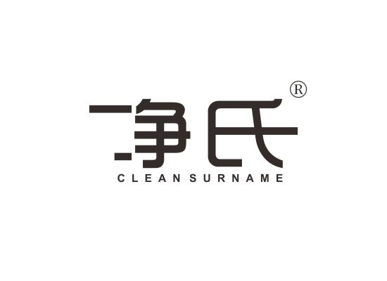 净氏 CLEAN SURNAME