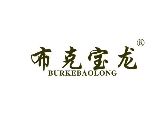 布克宝龙 BURKEBAOLONG