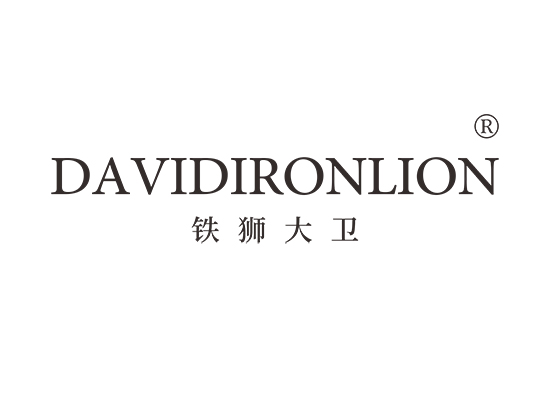 DAVIDIRONLION 铁狮大卫