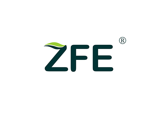 ZFE