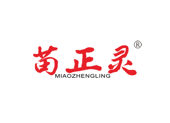 苗正灵;MIAOZHENGLING