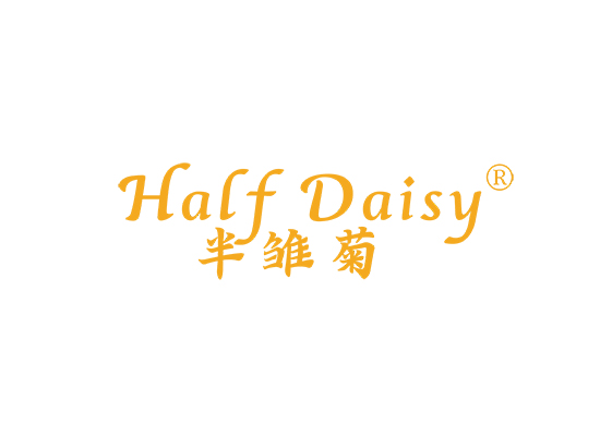 HALF DAISY 半雏菊