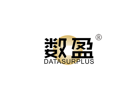 数盈 DATA SURPLUS