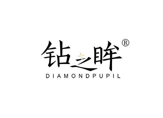 钻之眸 DIAMONDPUPIL