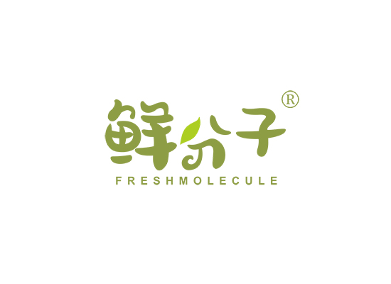 鲜分子 FRESHMOLECULE