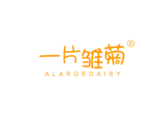 一片雏菊 ALARGEDAISY