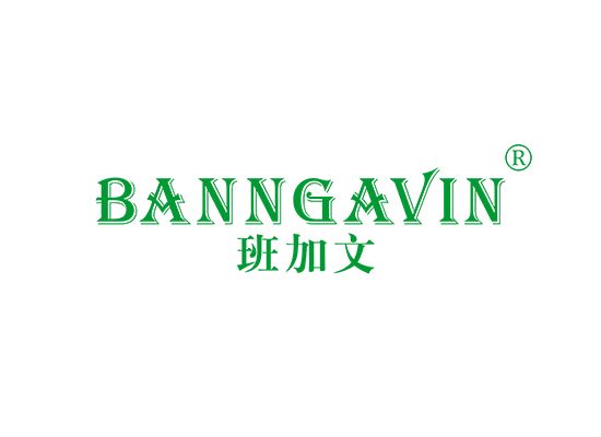 班加文 BANNGAVIN