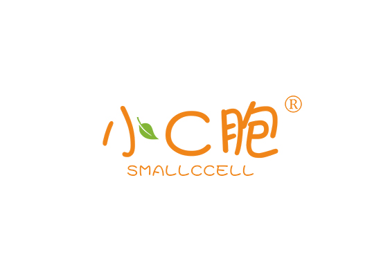 小C胞 SMALL C CELL