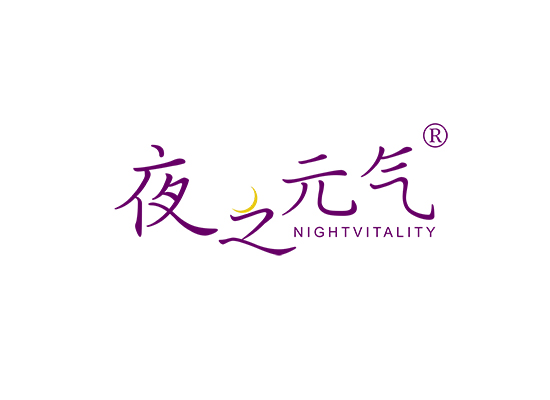 夜之元气 NIGHTVITALITY