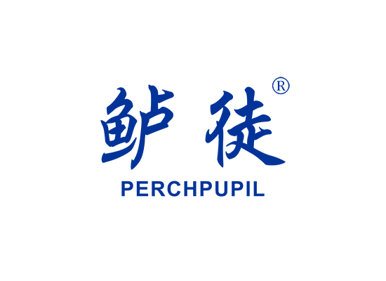 鲈徒 PERCHPUPIL