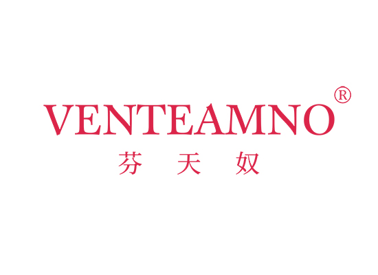 芬天奴 VENTEAMNO