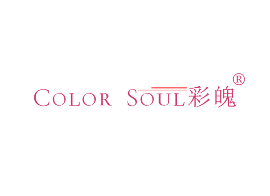 COLOR SOUL彩魄