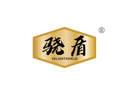 骁盾 VALIANT SHIELD