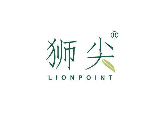 狮尖 LION POINT