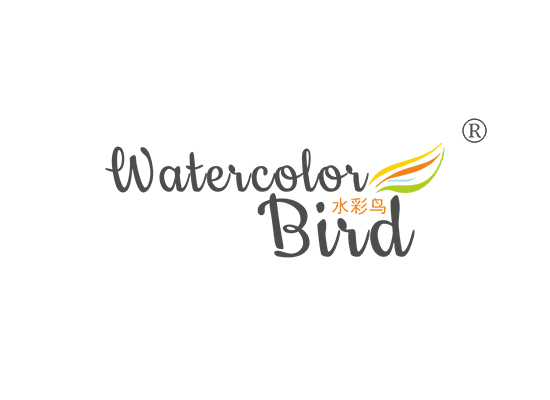 水彩鸟 WATERCOLOR BIRD