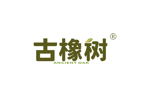 古橡树 ANCIENT OAK