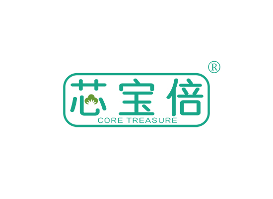 芯宝倍 CORE TREASURE