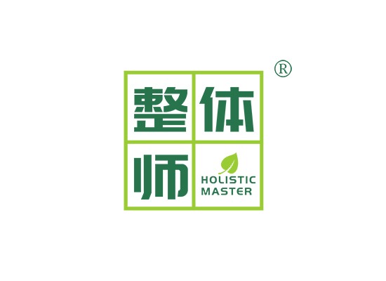 整体师 HOLISTIC MASTER