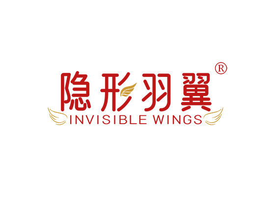 隐形羽翼 INVISIBLE WINGS