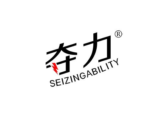 夺力 SEIZINGABILITY