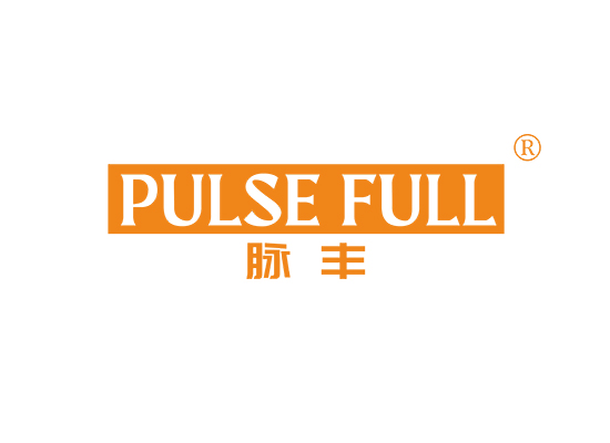 PULSE FULL 脉丰