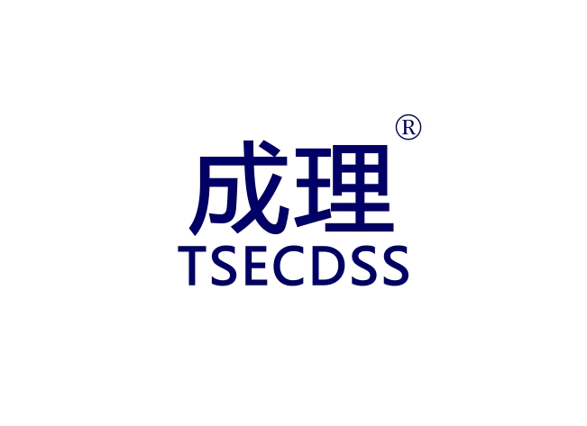 成理 TSECDSS