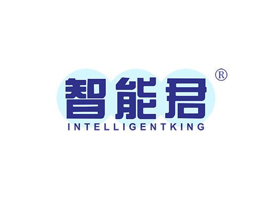 智能君 INTELLIGENT KING