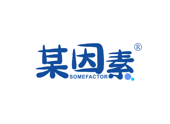 某因素 SOME FACTOR