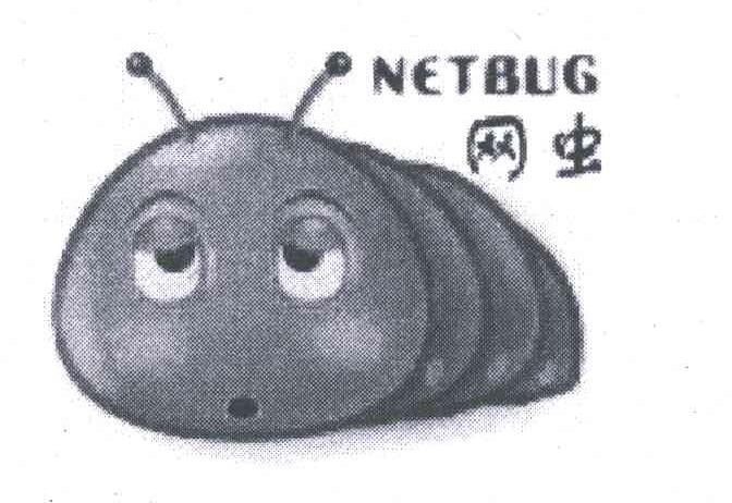 网虫;NETBUG