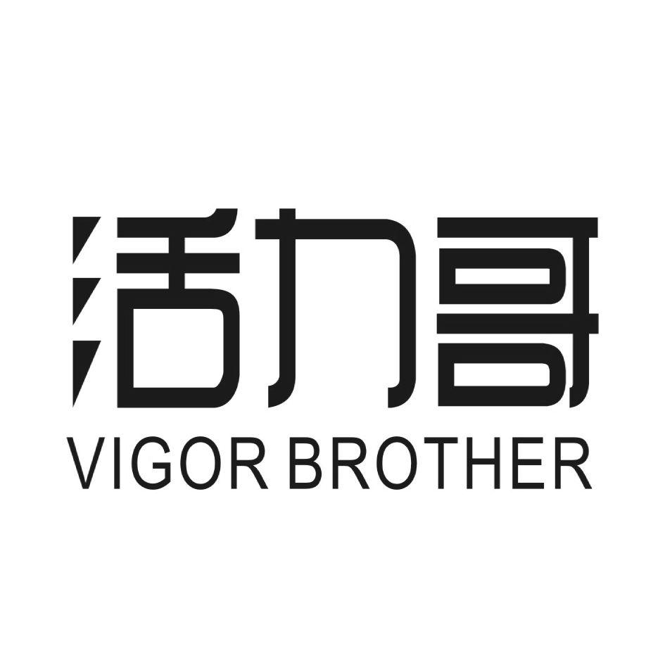 活力哥 VIGOR BROTHER
