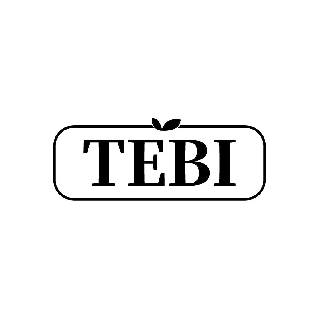 TEBI