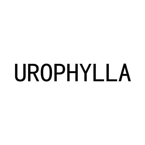 UROPHYLLA