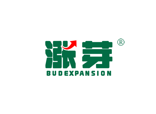 涨芽  BUD EXPANSION