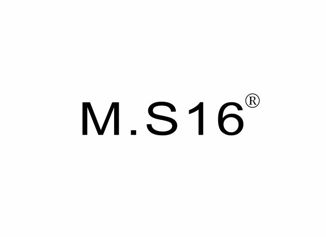 M.S16